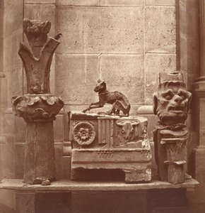 A mumifikált macska a Saint-Germain-en-Laye-i ásatásokon, kb. 1862.