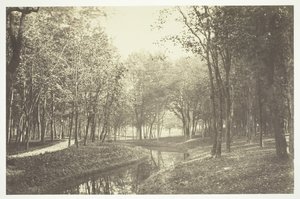 Cím nélkül, c. 1850. [Fák a víz közelében a Bois de Boulogne-ban, egy párizsi park]. alkotó: Charles Marville