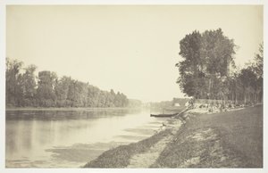 Cím nélkül, c. 1850. [Fák a víz közelében a Bois de Boulogne-ban, egy párizsi park]. alkotó: Charles Marville