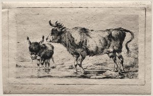 Tehén és szamár, 1849. alkotó: Charles Meryon