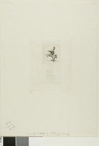  alkotó: Charles Meryon