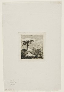 Az öreg katona tetőfedő háza, Akaroa, 1845 alkotó: Charles Meryon