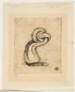 The Sickly Cryptogam alkotó: Charles Meryon