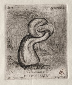 The Sickly Cryptogam alkotó: Charles Meryon