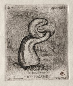 The Sickly Cryptogam, 1860. alkotó: Charles Meryon