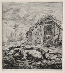 Három sertés feküdt egy büfé előtt alkotó: Charles Meryon