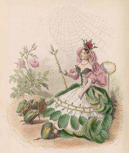 Animált virágok, 1867.