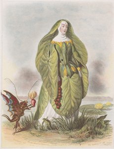 Tavirózsa, a Les Fleurs Animées-ből, 1847.