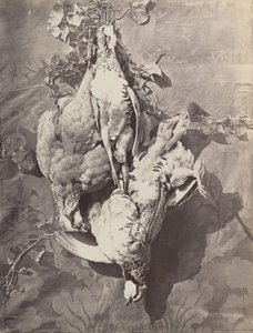 [Csendélet vadmadarakkal], 1859. alkotó: Charles Nègre