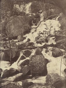 [Fák és vízesések], 1860-65.