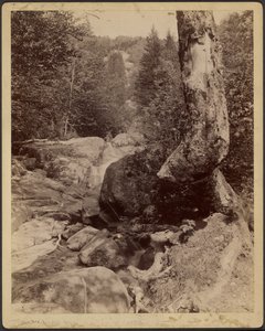 [Cascading Stream] alkotó: Charles P. Hibbard