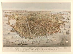 San Francisco városa – madár alkotó: Charles Parsons