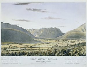 Völgy Saltillo felé, a "Palace Hill" lábának közeléből, Montereyben. [D-Nyugat felé nézve.]... [No. 3.] [az Egyesült Államok hadseregének hátvéd- és kocsivonatával, amely kapitulációja után érkezik a várba].