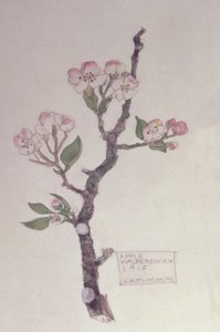 Apple, Walberswick, 1915 (ceruza és WC)