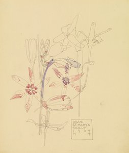 Ixias alkotó: Charles Rennie Mackintosh