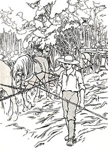 Egy telepes, aki megtisztítja a földjét, 1912 alkotó: Charles Robinson