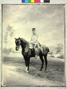 Rainer osztrák főherceg