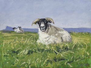 West Coast Sheep, 2017 (olaj, vászon)