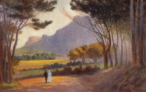 Cape Peninsula, Dél-Afrika: Alphen (színes litho) alkotó: Charles Stephen Meacham