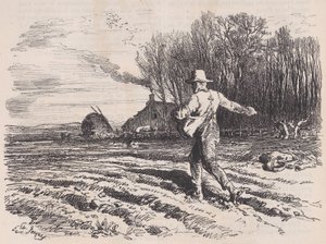 Szórványmag, a Le Magasin Pittoresque-ből, 1857. május.