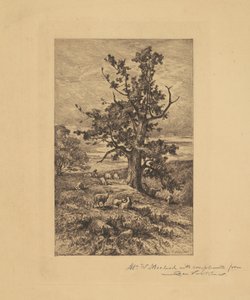 Táj juhokkal alkotó: Charles Volkmar