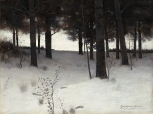 Erdők télen