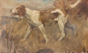 „Bátortalan”, 1888-1904