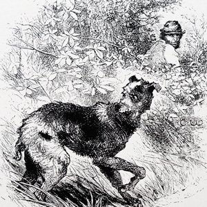 Egy orvvadász a lurcherével alkotó: Charles Whymper