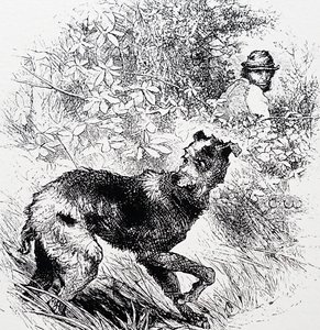 Egy orvvadász a lurcherével alkotó: Charles Whymper