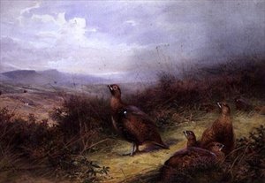 Grouse a Felvidéken alkotó: Charles Whymper