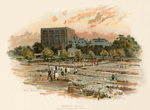 Norwich kastély