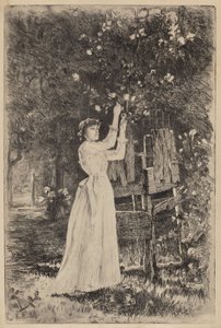 Untitled (Virágokat szedő nő)