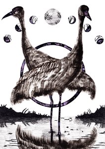 Szerelmes daruk, 2020