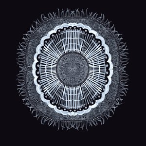 Plant Cell 0.2, 2019 (toll és tinta) alkotó: Charlotte Orr
