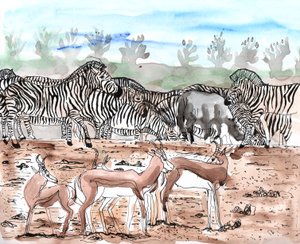 Safari 3, 2018 (tinta és akvarell) alkotó: Charlotte Orr
