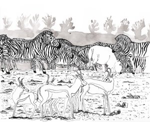 Safari 3, 2018 (tinta és akvarell) alkotó: Charlotte Orr