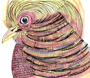 Tropical Bird, 2018 (toll, tus és akvarell) alkotó: Charlotte Orr