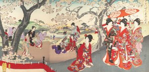 Chiyoda Castle Album of Women, 1895., 1895.