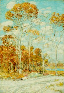 A Sólyomfészek alkotó: Childe Frederick Hassam