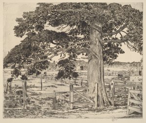 A nagy cédrus alkotó: Childe Hassam