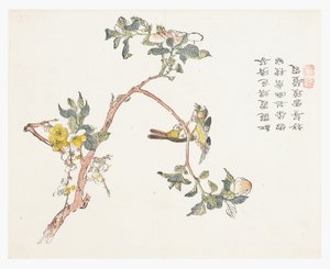 Mustármagos kert alkotó: Chinese School