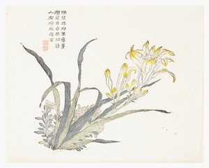 Mustármagos kert alkotó: Chinese School