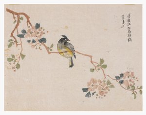 Mustármagos kert alkotó: Chinese School