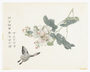 Mustármagos kert alkotó: Chinese School