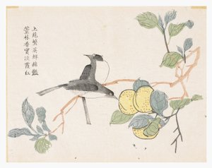 Mustármagos kert alkotó: Chinese School