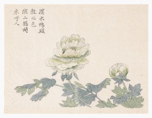 Mustármagos kert alkotó: Chinese School