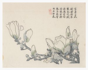 Mustármagos kert alkotó: Chinese School