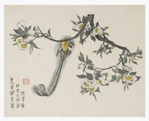 Mustármagos kert alkotó: Chinese School