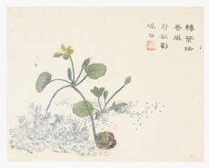Mustármagos kert alkotó: Chinese School