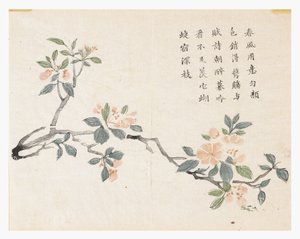 Mustármagos kert alkotó: Chinese School